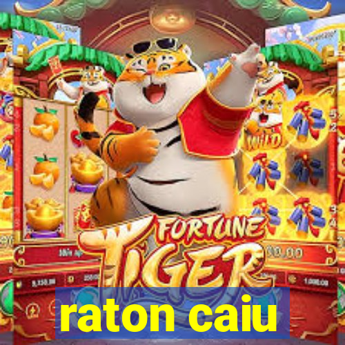 raton caiu